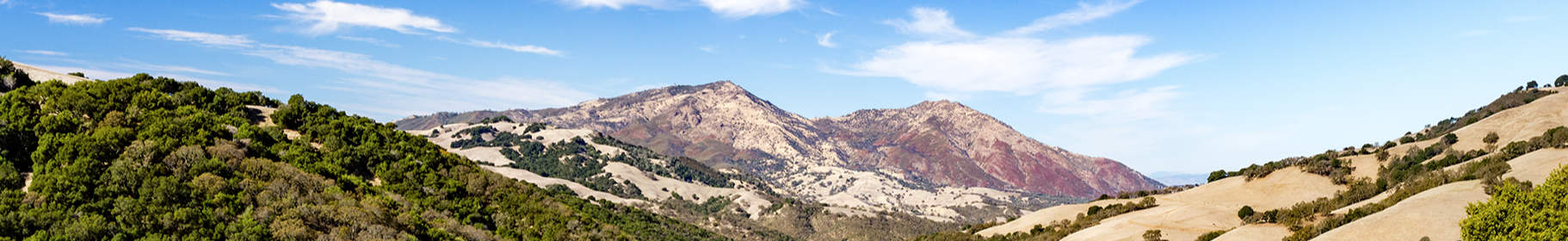 County Banner